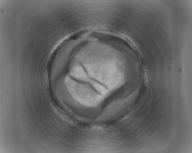 X0000079330684200612151843