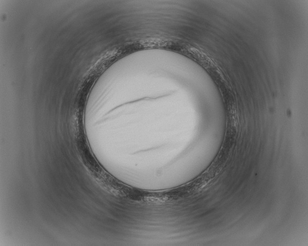 X0000079330690200612151843