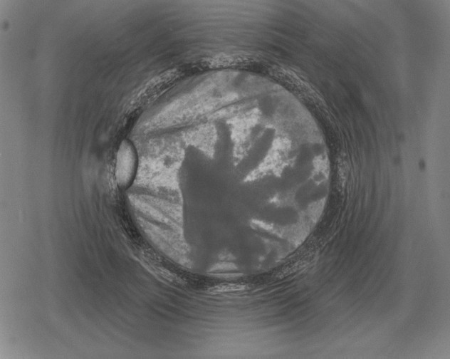 X0000079330691200612151843