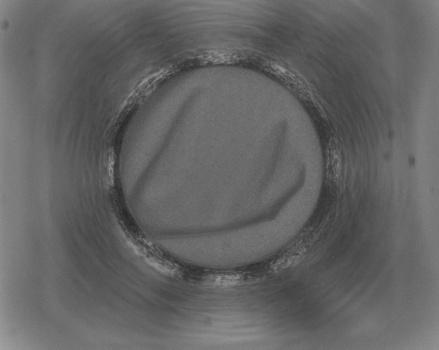 X0000079330694200612151842