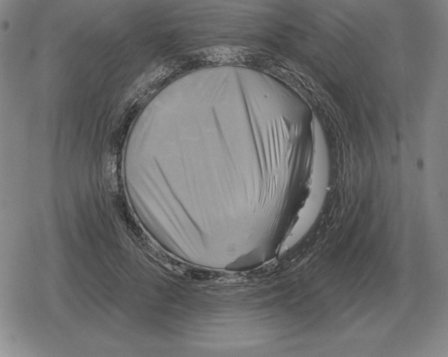 X0000079330696200612151842