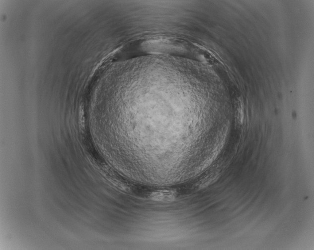 X0000079330700200612151842