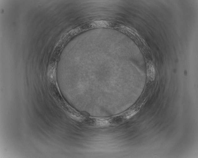 X0000079330701200612151842
