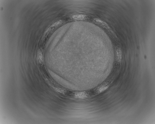 X0000079330705200612151842