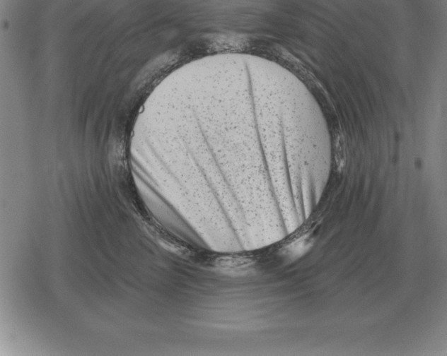 X0000079330714200612151842