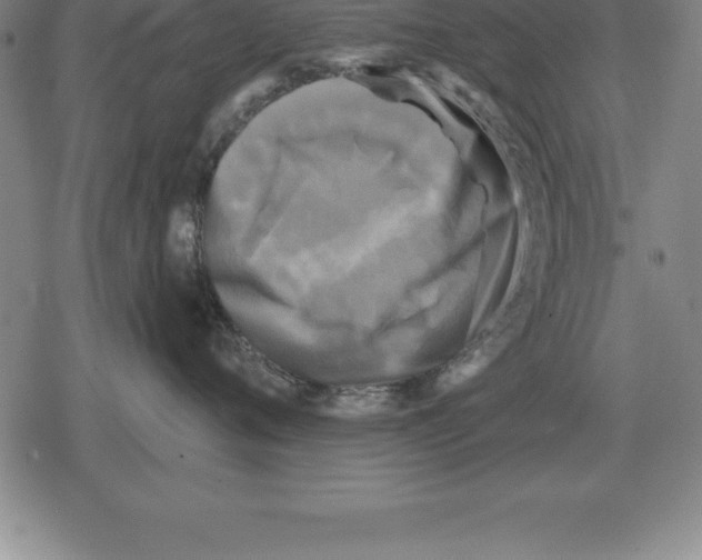 X0000079330720200612151842