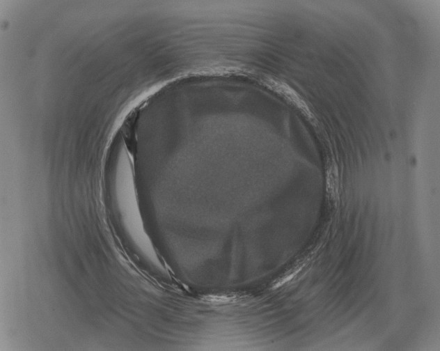 X0000079330724200612151841