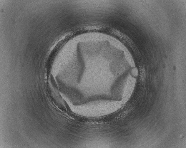 X0000079330731200612151841