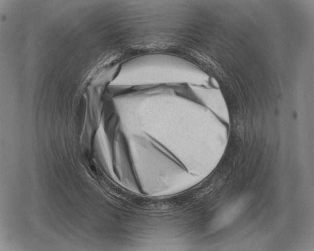 X0000079330735200612151841
