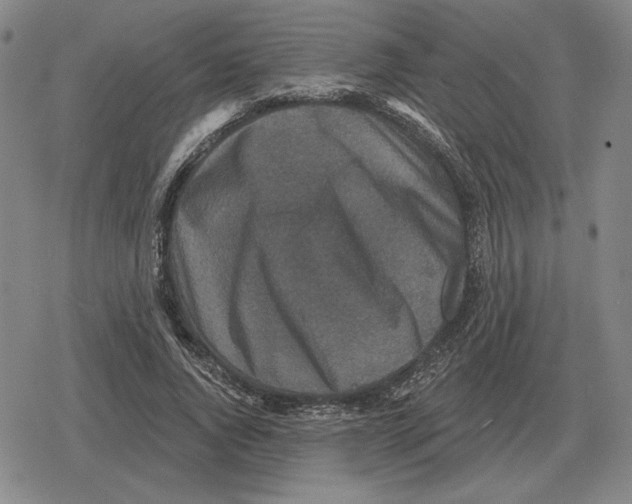 X0000079330736200612151841