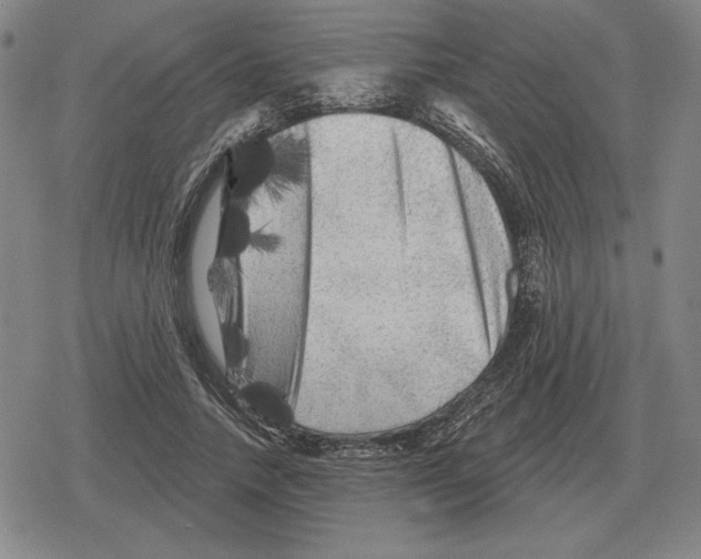 X0000079330738200612151842