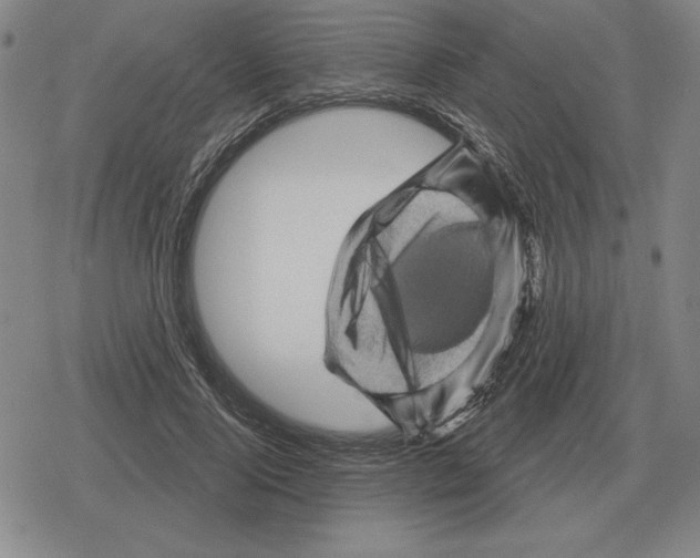 X0000079330740200612151842