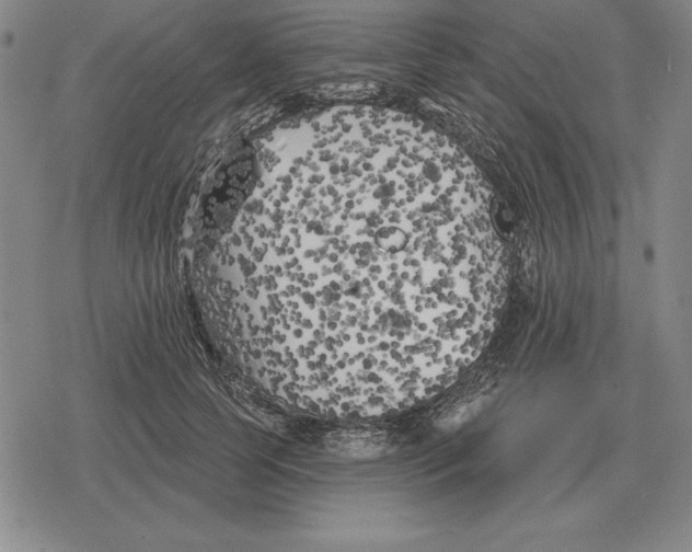 X0000079330745200612151842