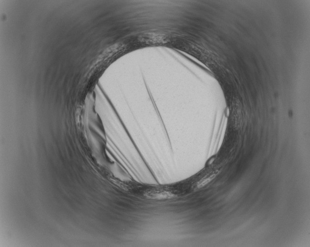 X0000079330747200612151842