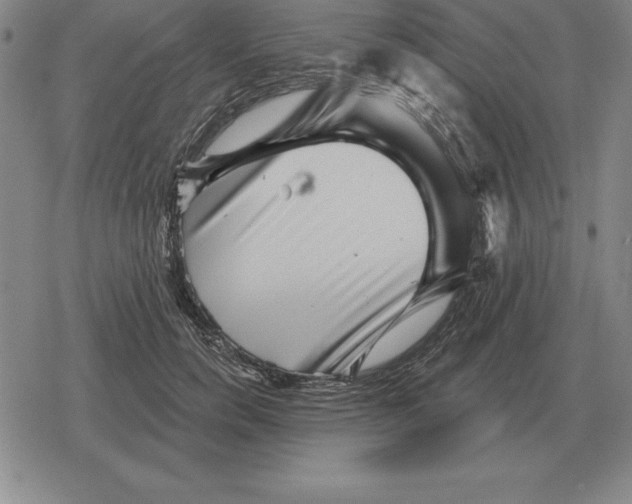 X0000079330750200612151842