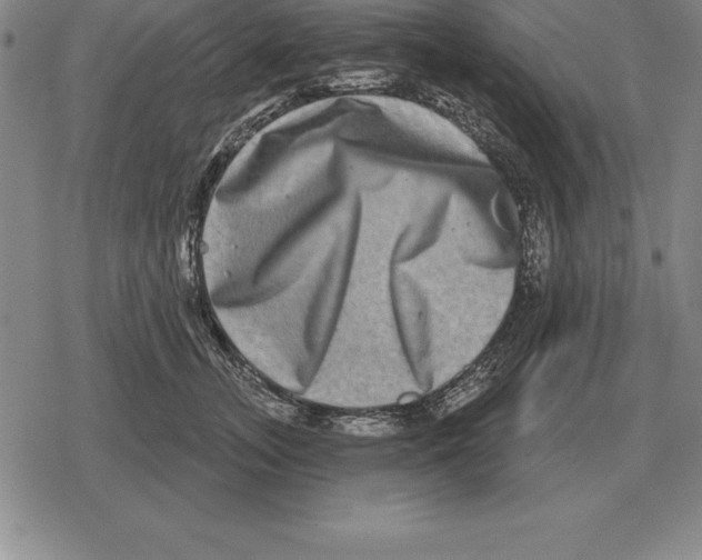 X0000079330755200612151842