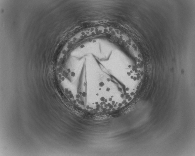 X0000079330757200612151842