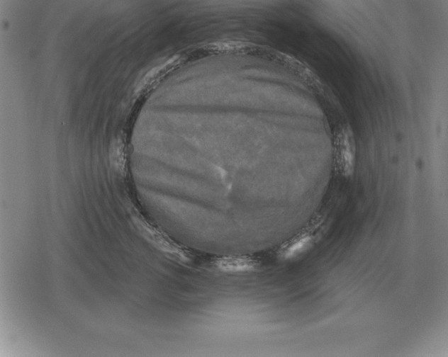X0000079330762200612151842