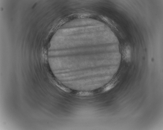 X0000079330766200612151842