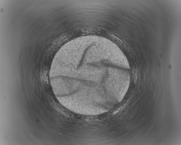 X0000079330770200612151841
