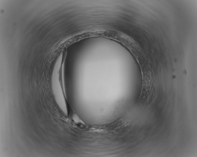 X0000079330773200612151841