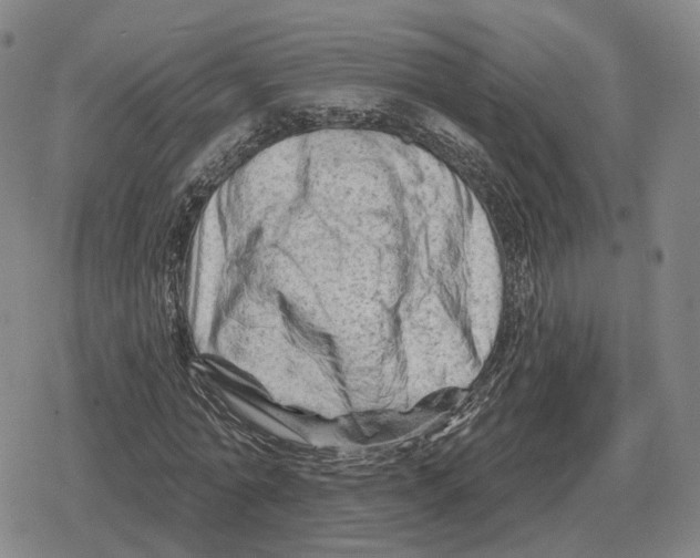 X0000079330774200612151841