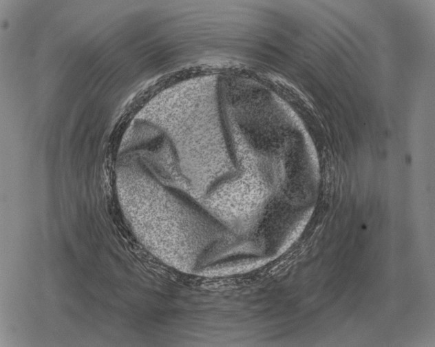 X0000079330776200612151841