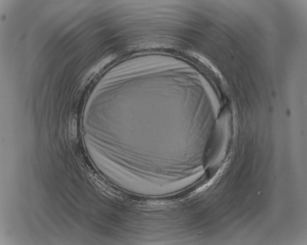 X0000079330777200612151841