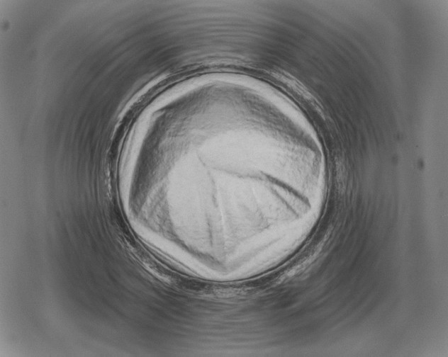 X0000079330782200612151841