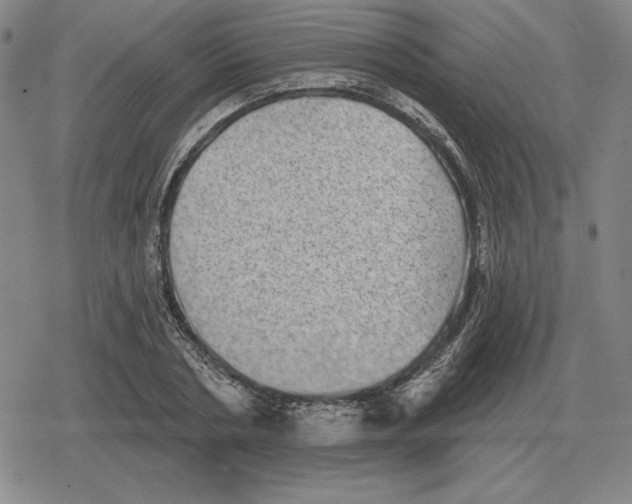 X0000079330786200612151841