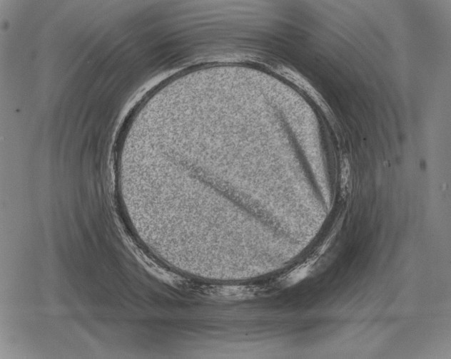 X0000079330787200612151841