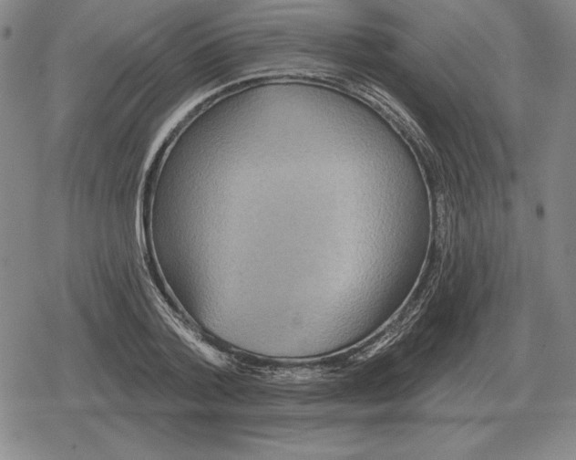 X0000079330788200612151841