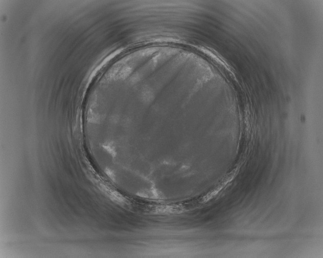 X0000079330790200612151841