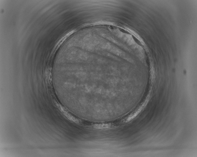 X0000079330793200612151841