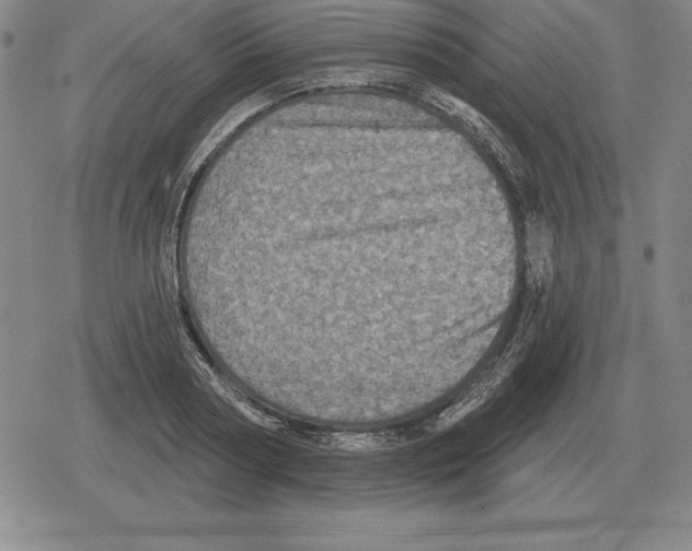 X0000079330794200612151841