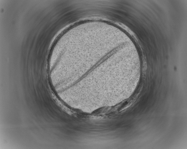 X0000079330799200612151841