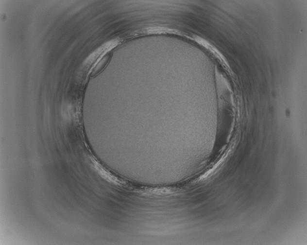 X0000079330801200612151841