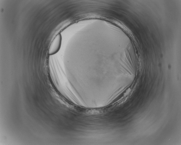 X0000079330806200612151841