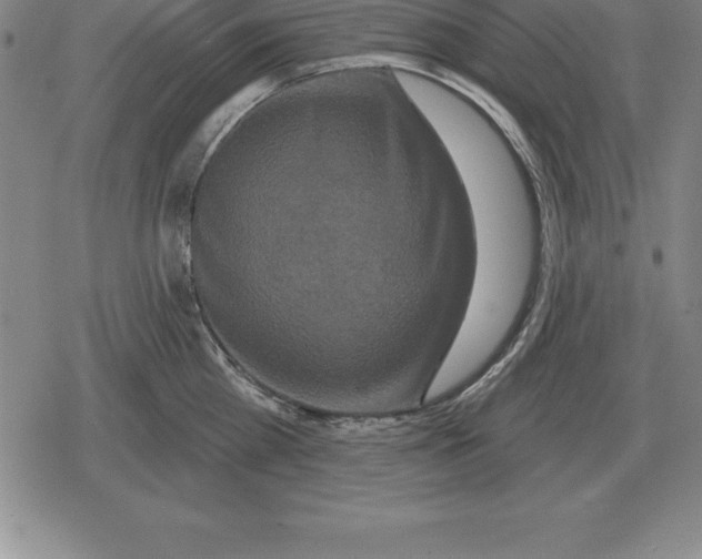 X0000079330809200612151841