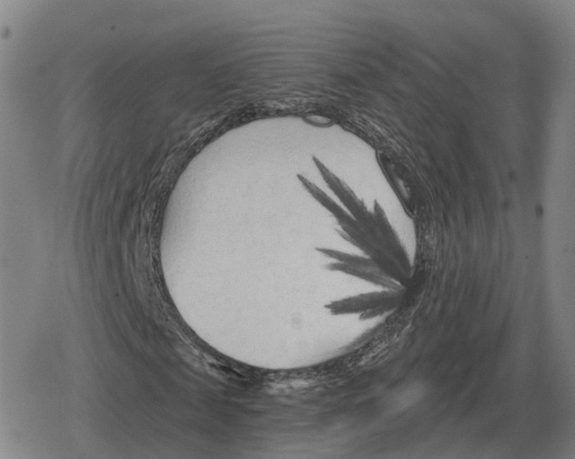 X0000079330817200612151840
