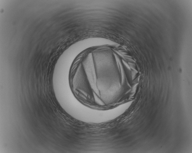X0000079330818200612151840