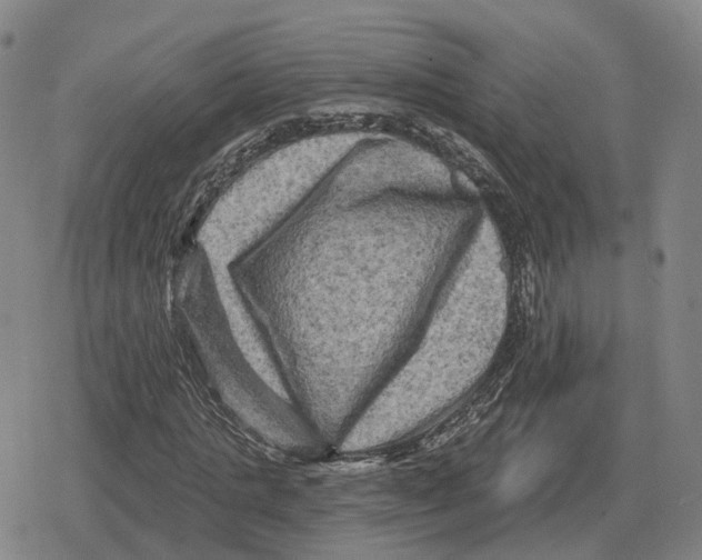 X0000079330821200612151840