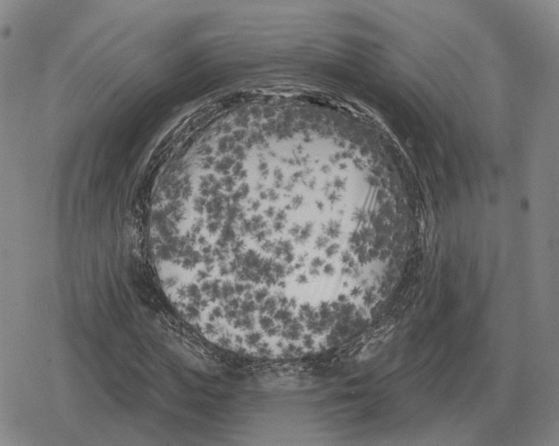 X0000079330823200612151840