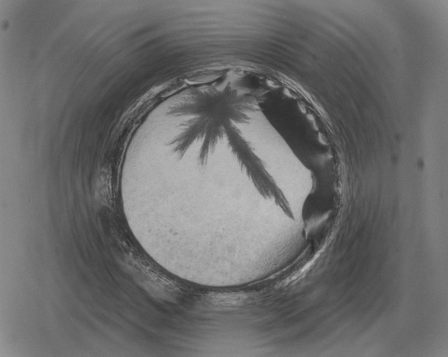 X0000079330825200612151840
