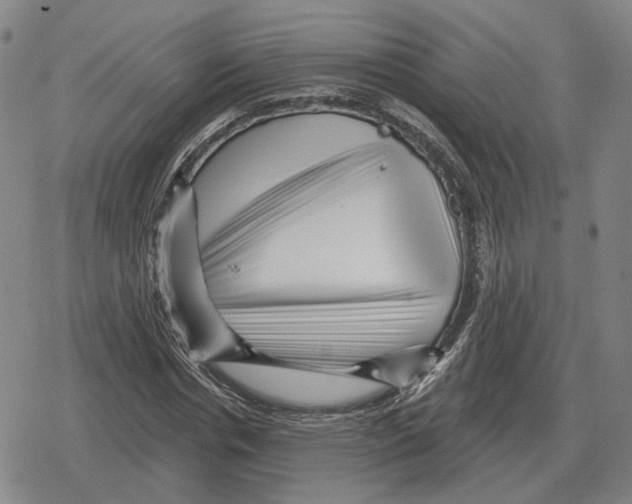 X0000079330826200612151840