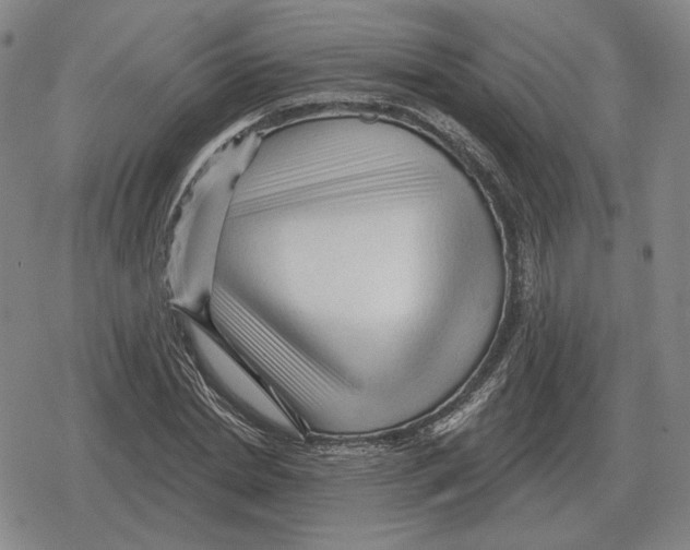 X0000079330830200612151840