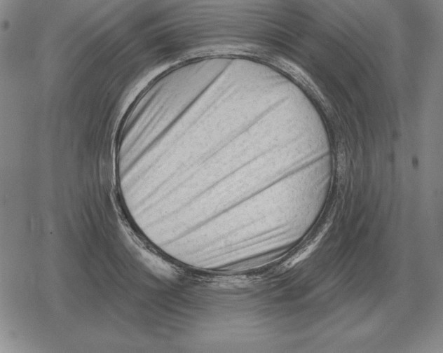 X0000079330844200612151840