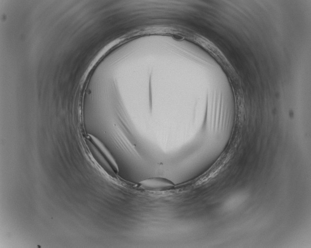 X0000079330852200612151840