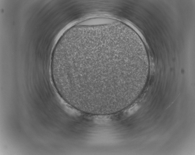 X0000079330861200612151840