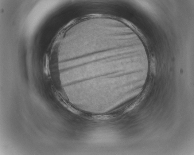 X0000079330862200612151840